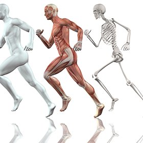 Exercise Science